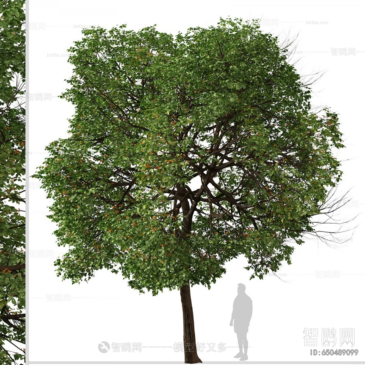 Modern Tree