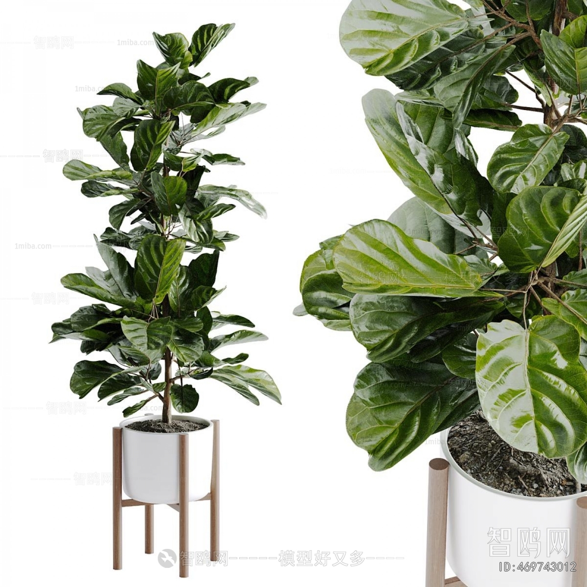 Modern Potted Green Plant