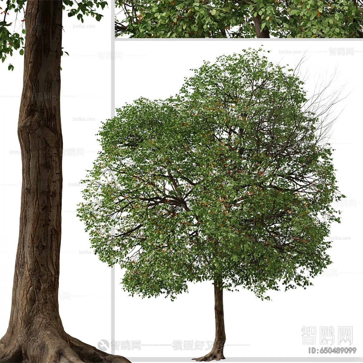 Modern Tree