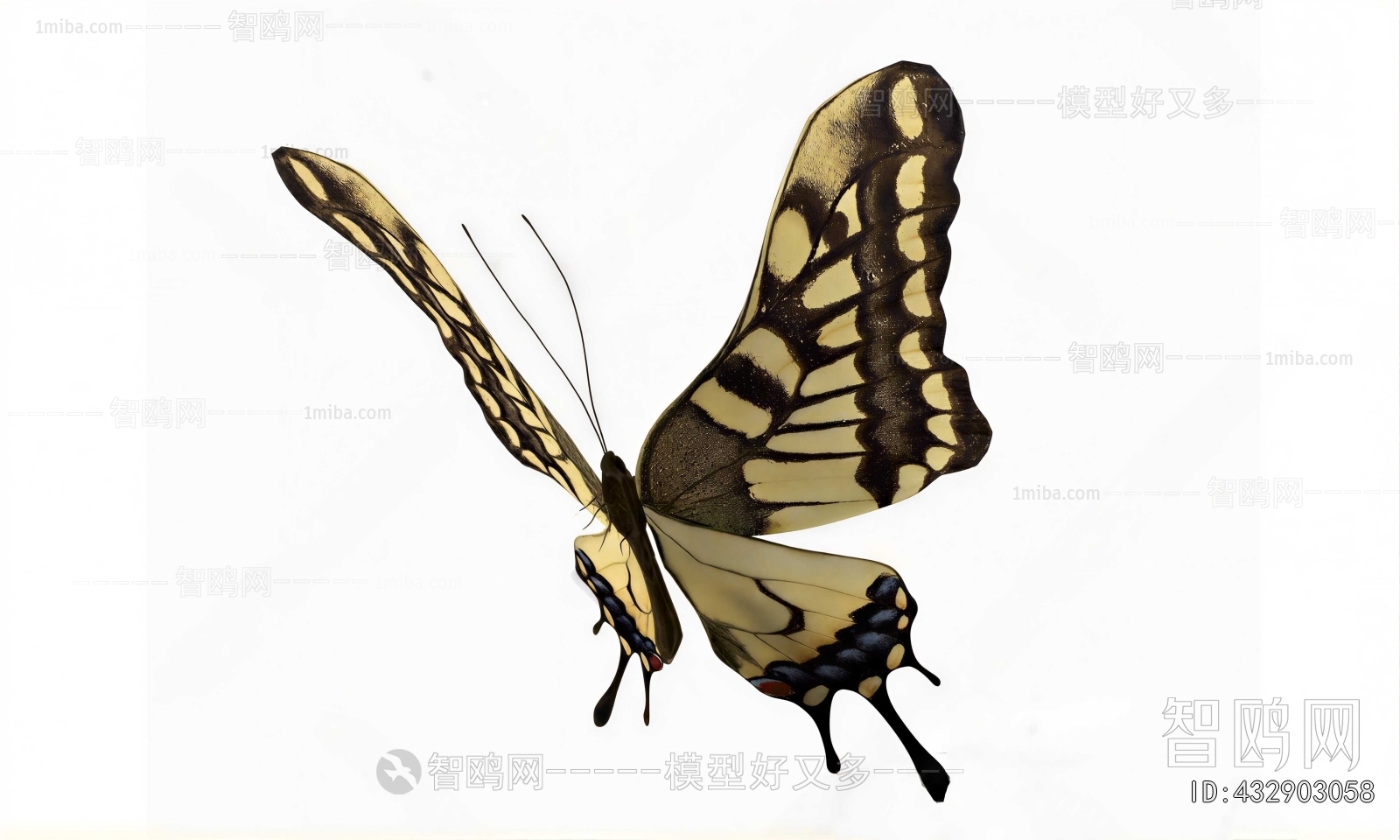Modern Flying Animals