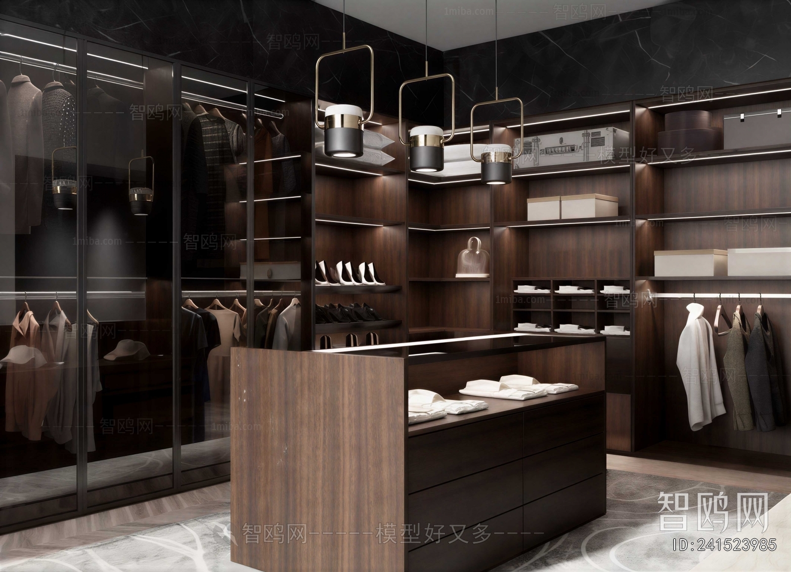 Modern Clothes Storage Area