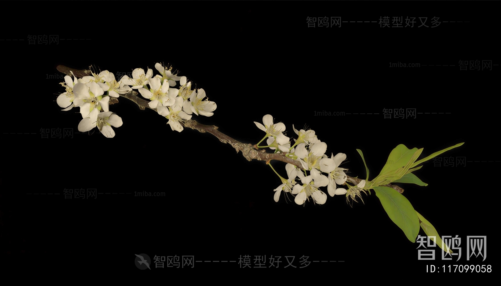 Modern Flowers And Grass