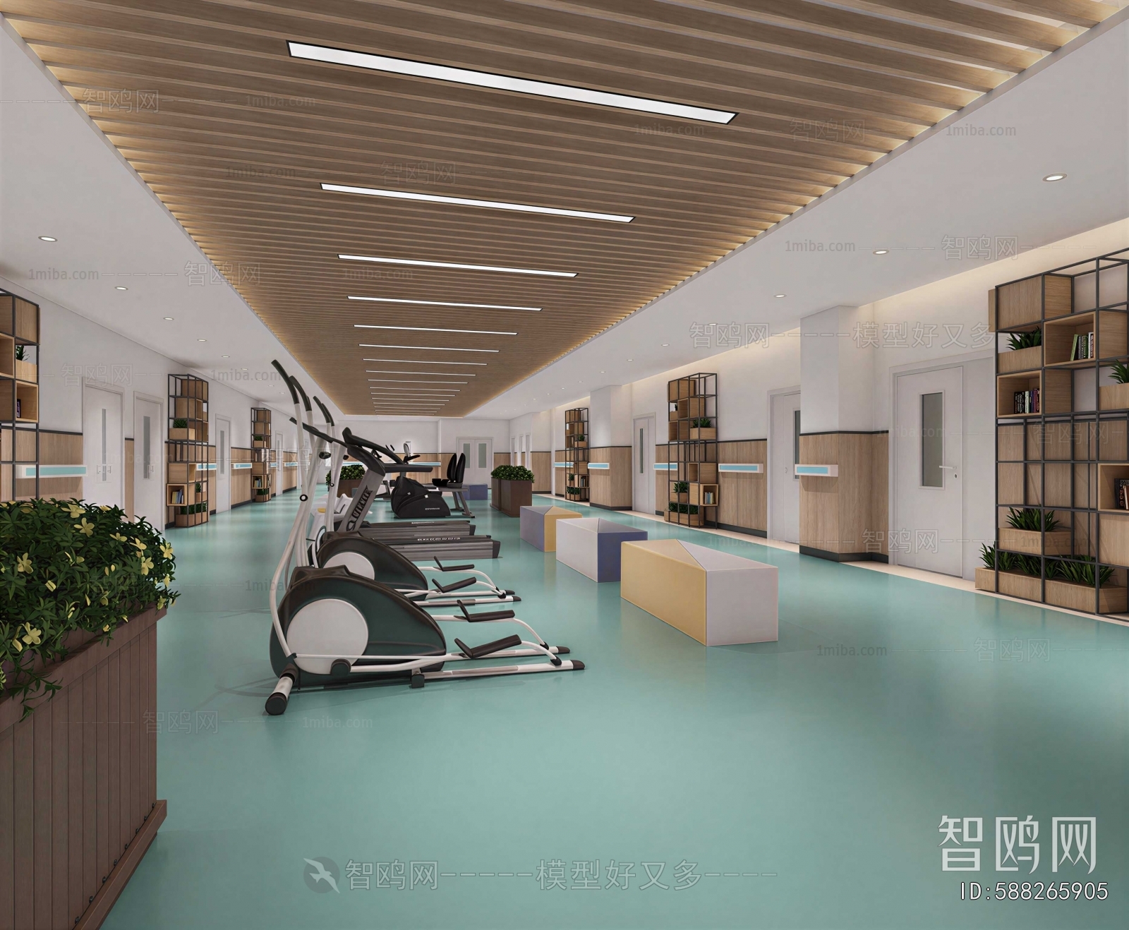 Modern Gym
