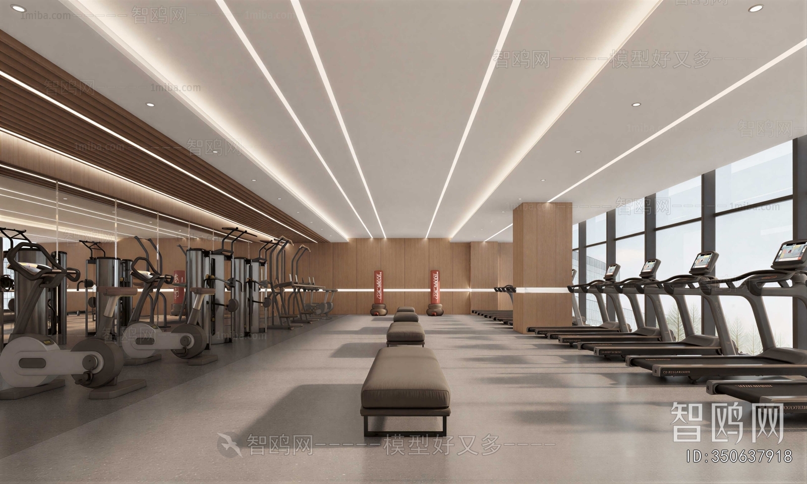 Modern Gym