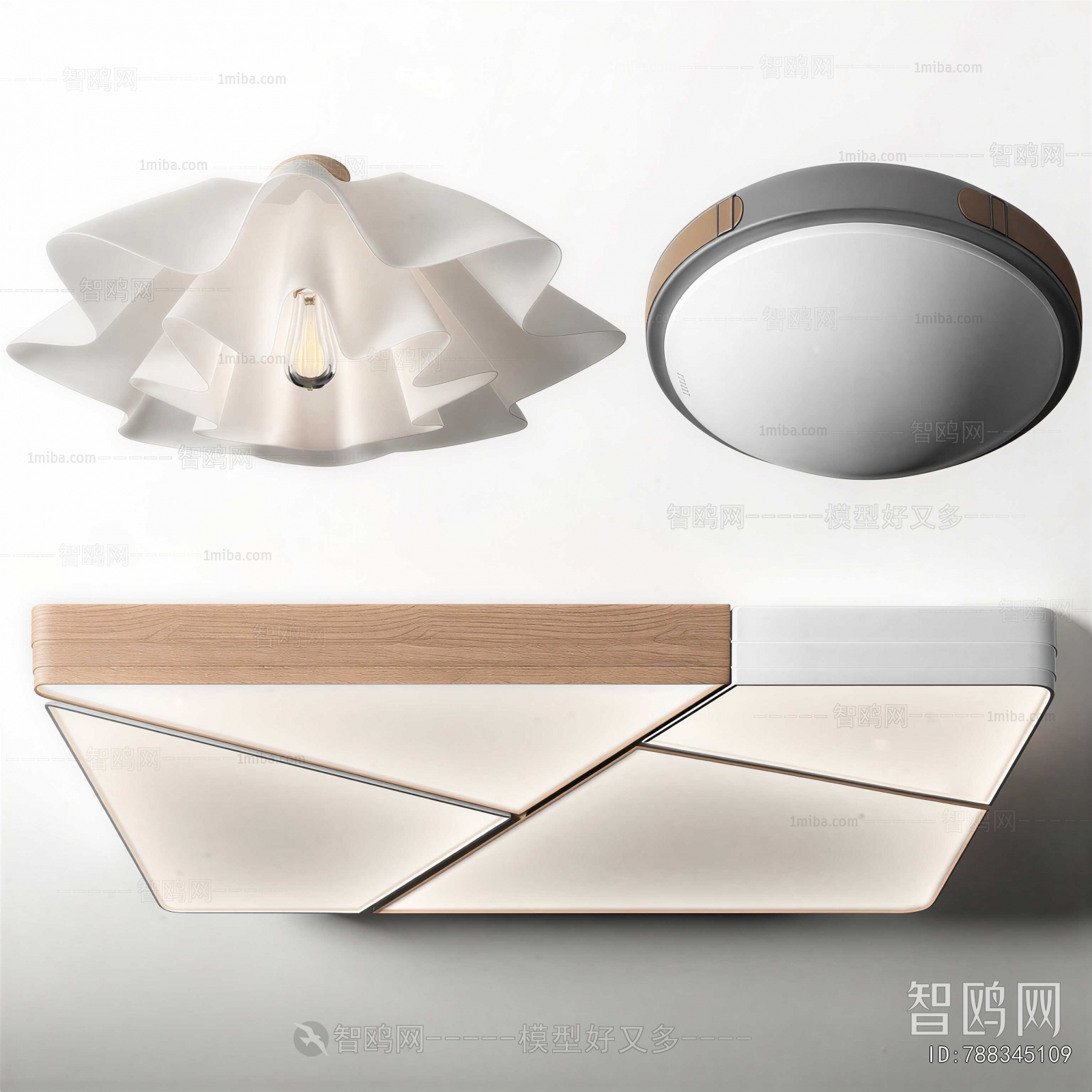 Modern Ceiling Ceiling Lamp