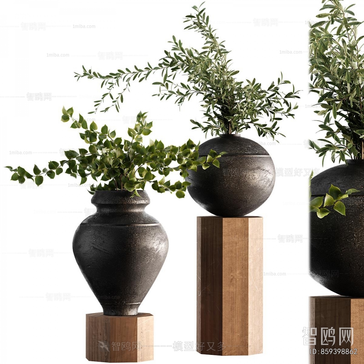 Modern Potted Green Plant