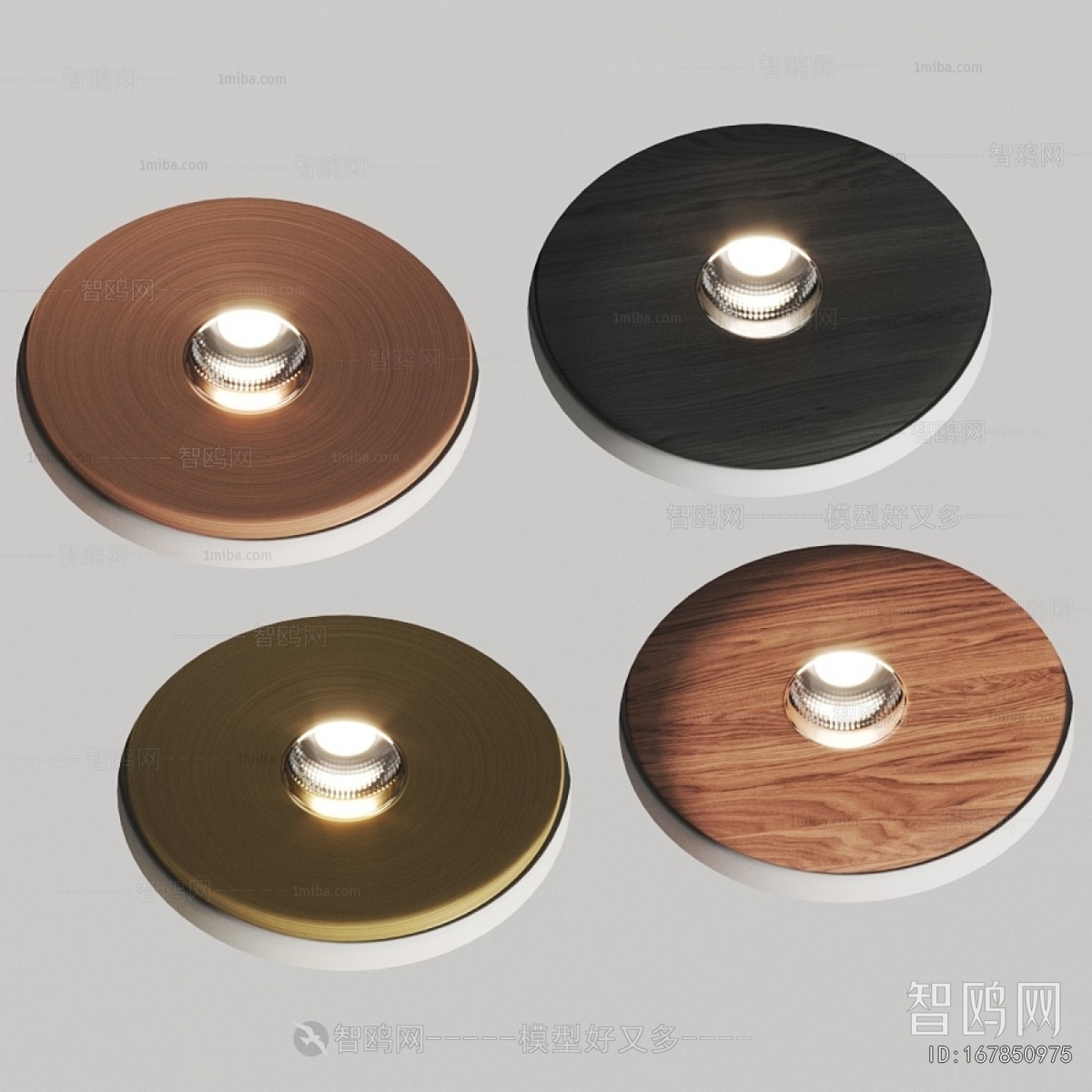 Modern Downlight Spot Light