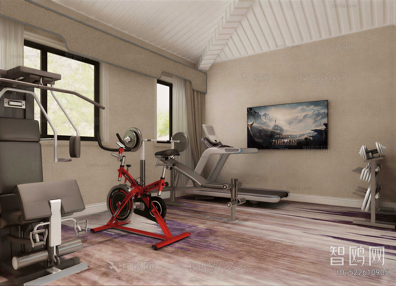 Modern Home Fitness Room
