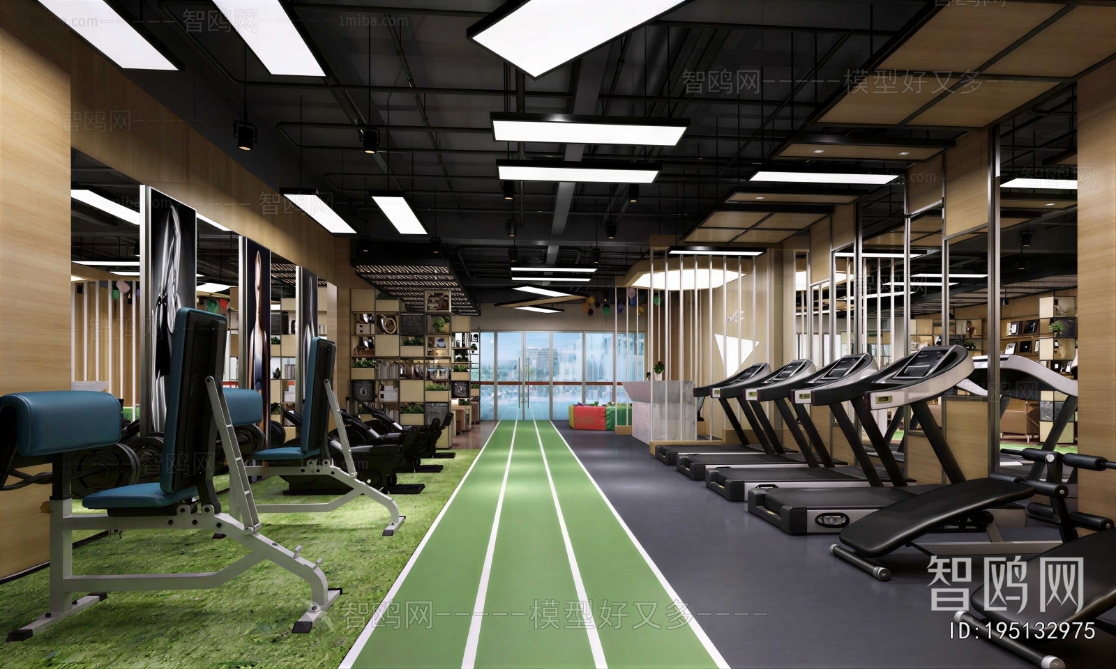 Modern Gym