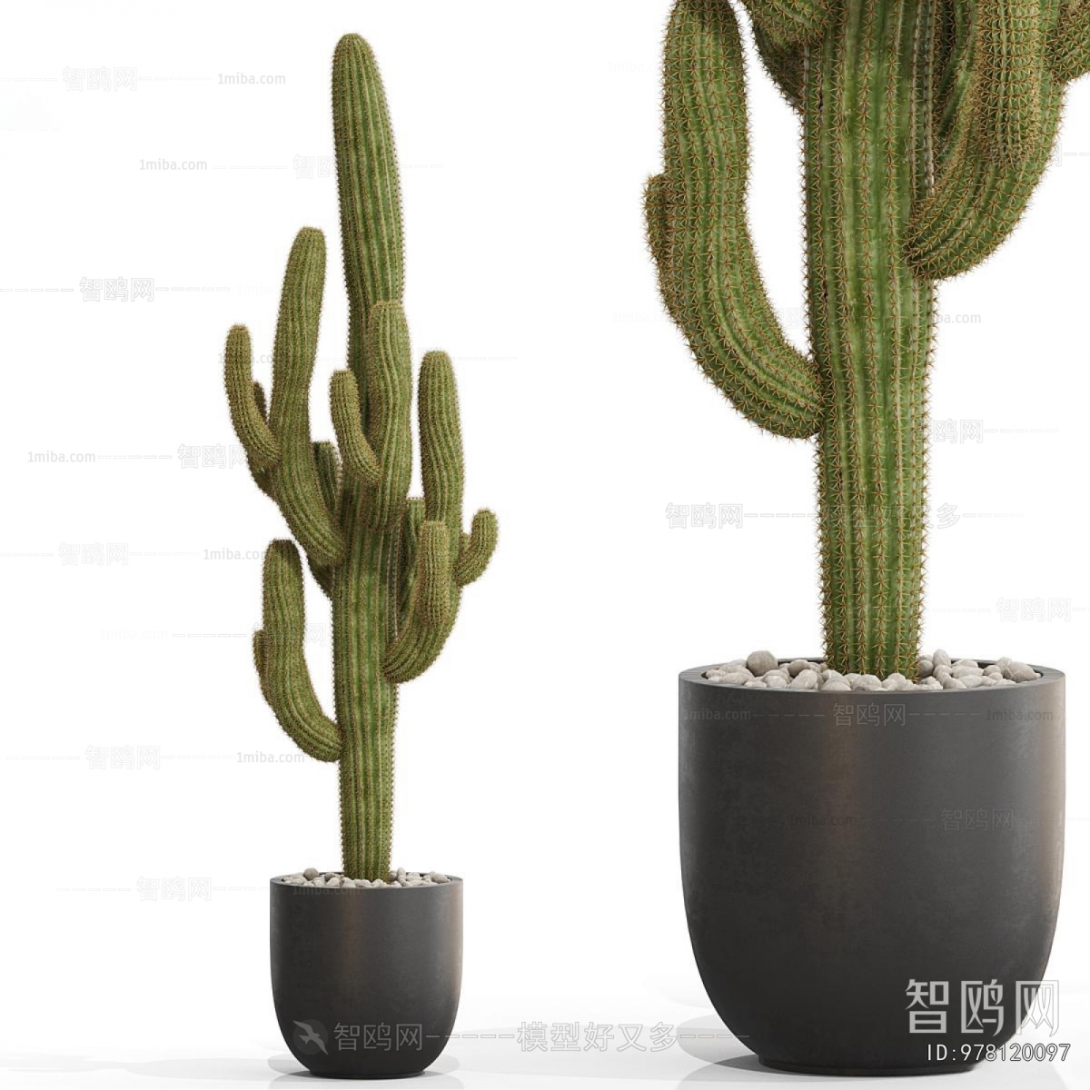 Modern Potted Green Plant