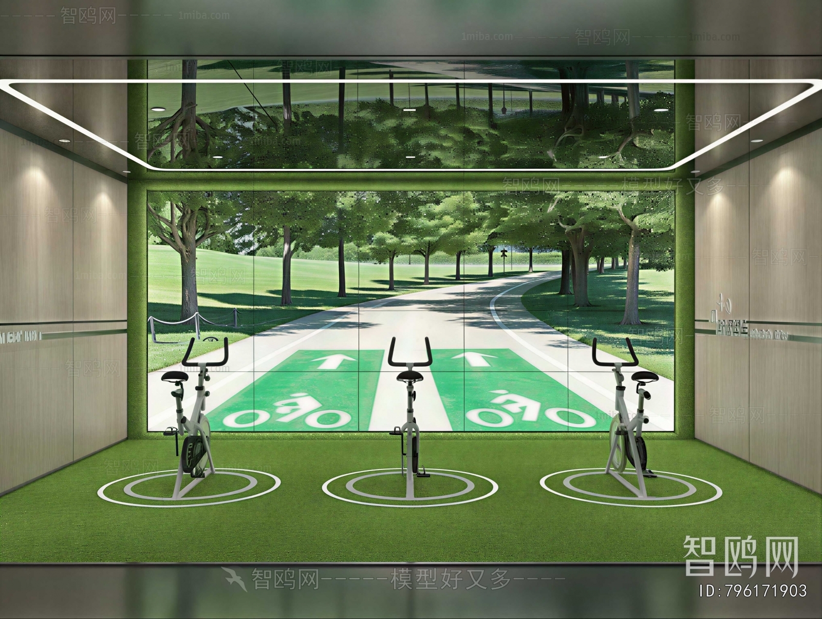 Modern Gym