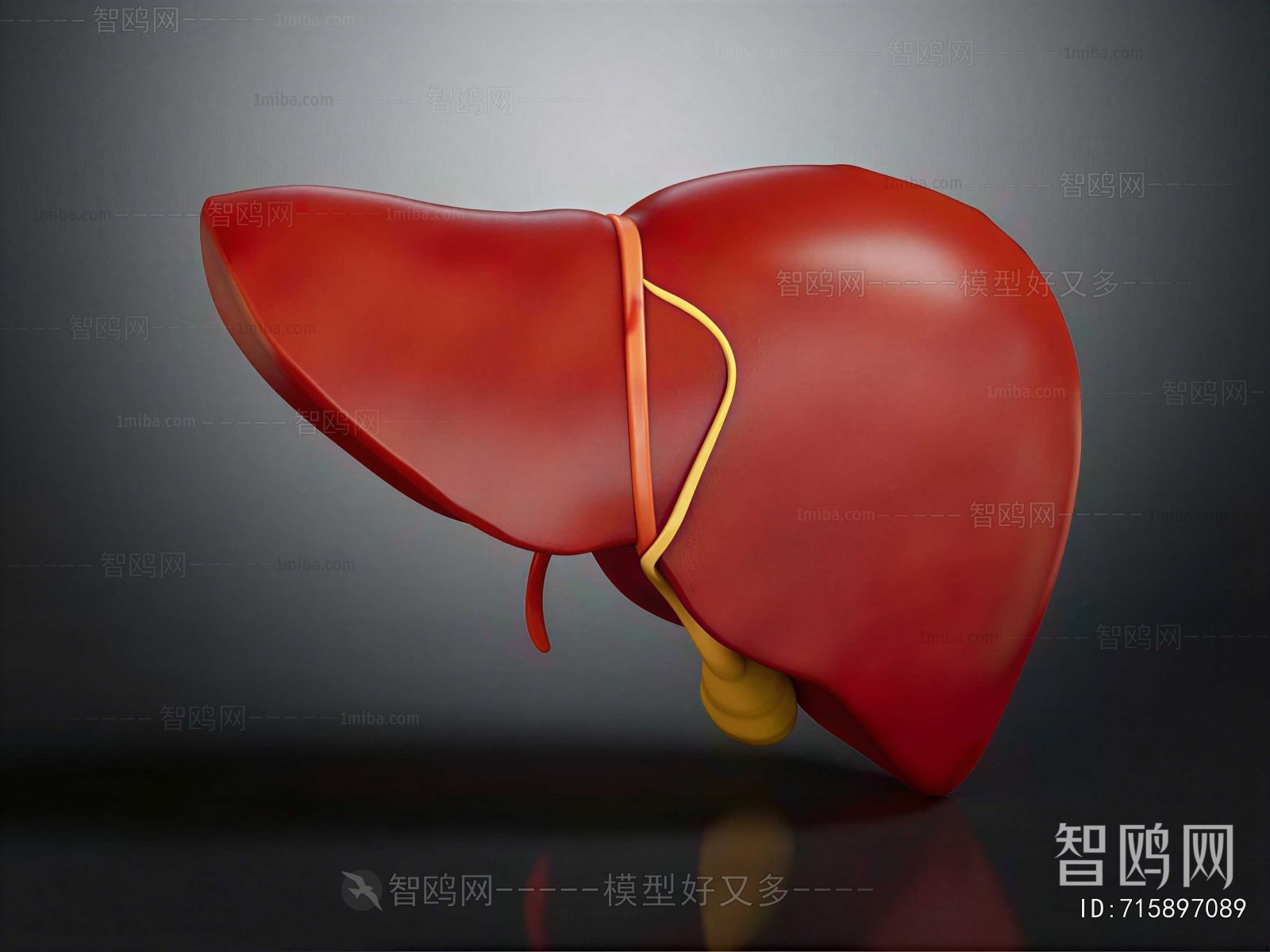 Modern Medical Equipment