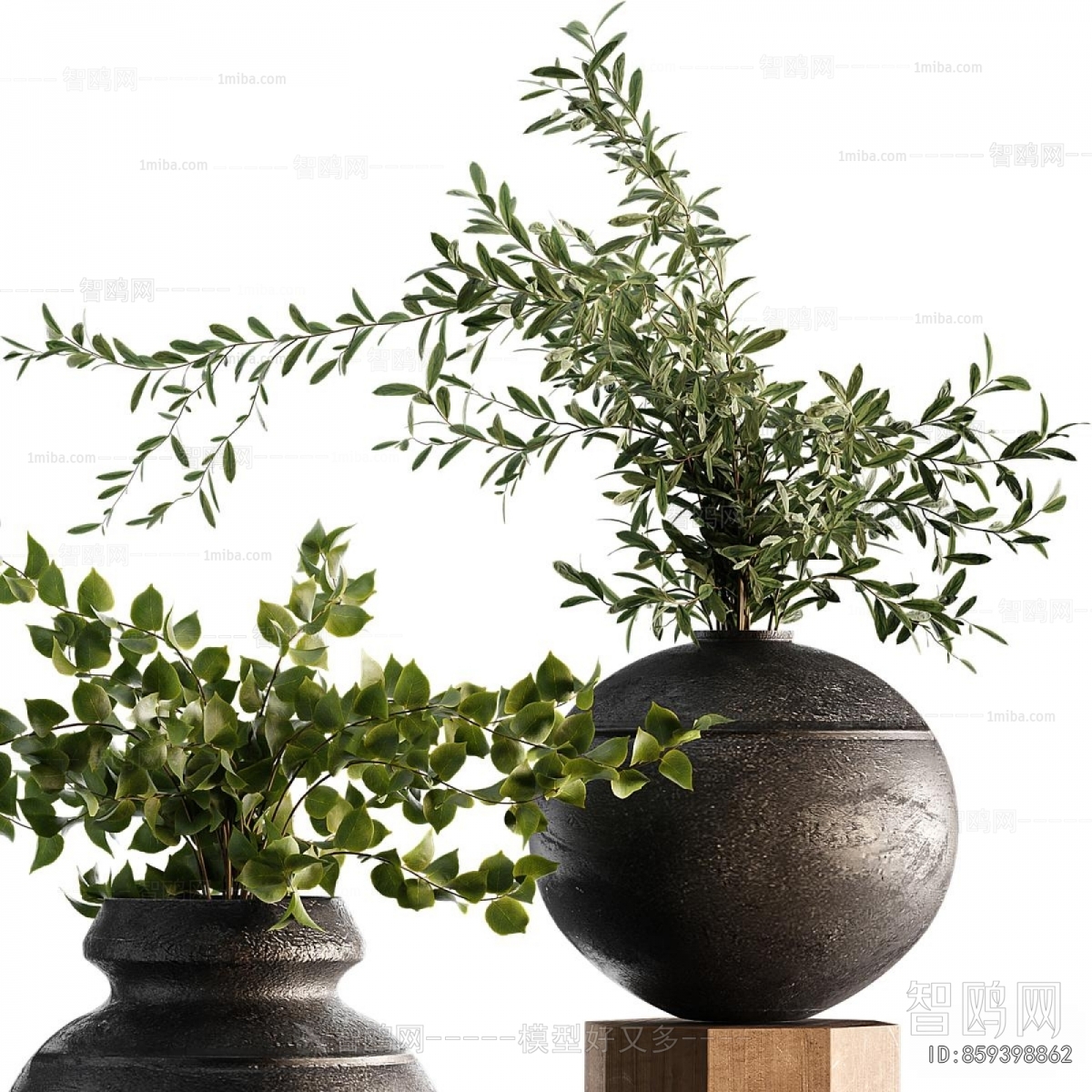 Modern Potted Green Plant