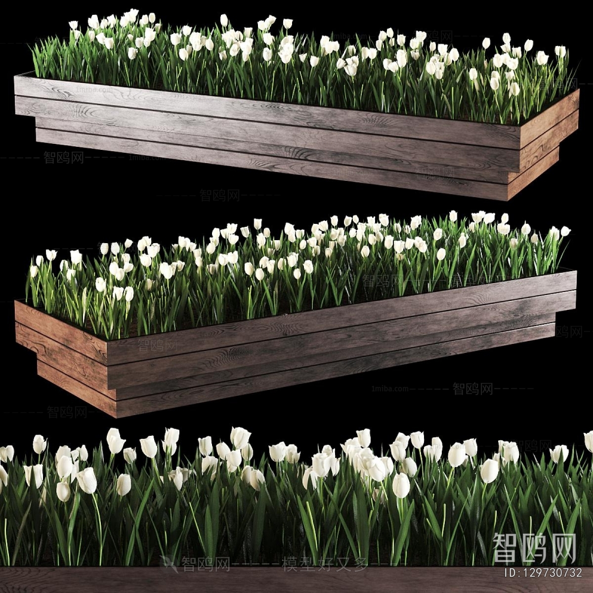 Modern Flower Bed, Flower Bowl, Flower Box