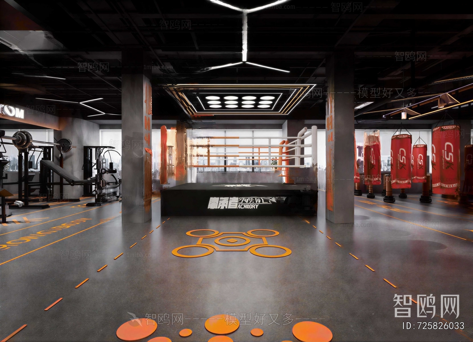 Industrial Style Gym
