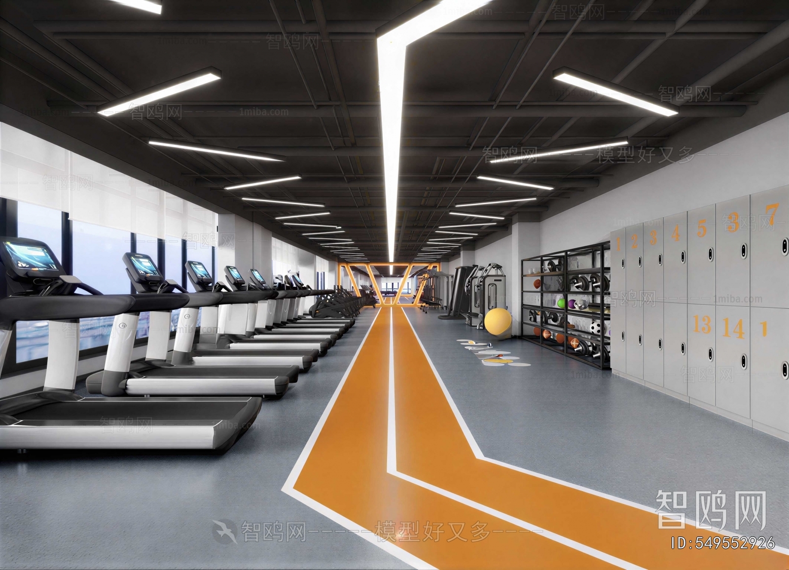 Modern Gym