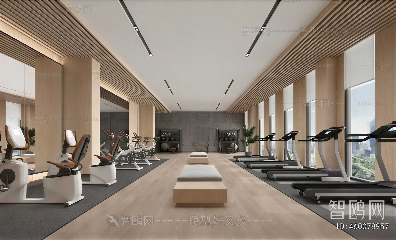 Modern Gym