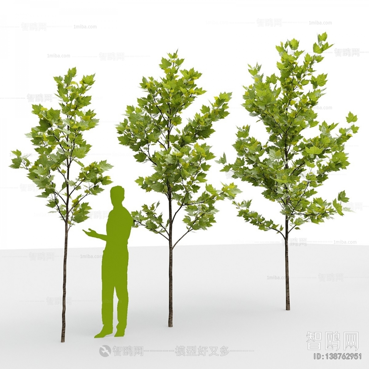 Modern Tree