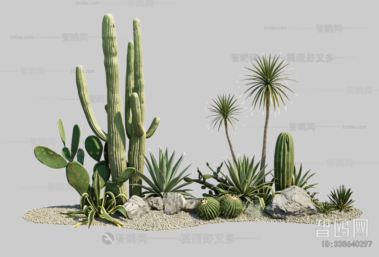 Plant Leaves