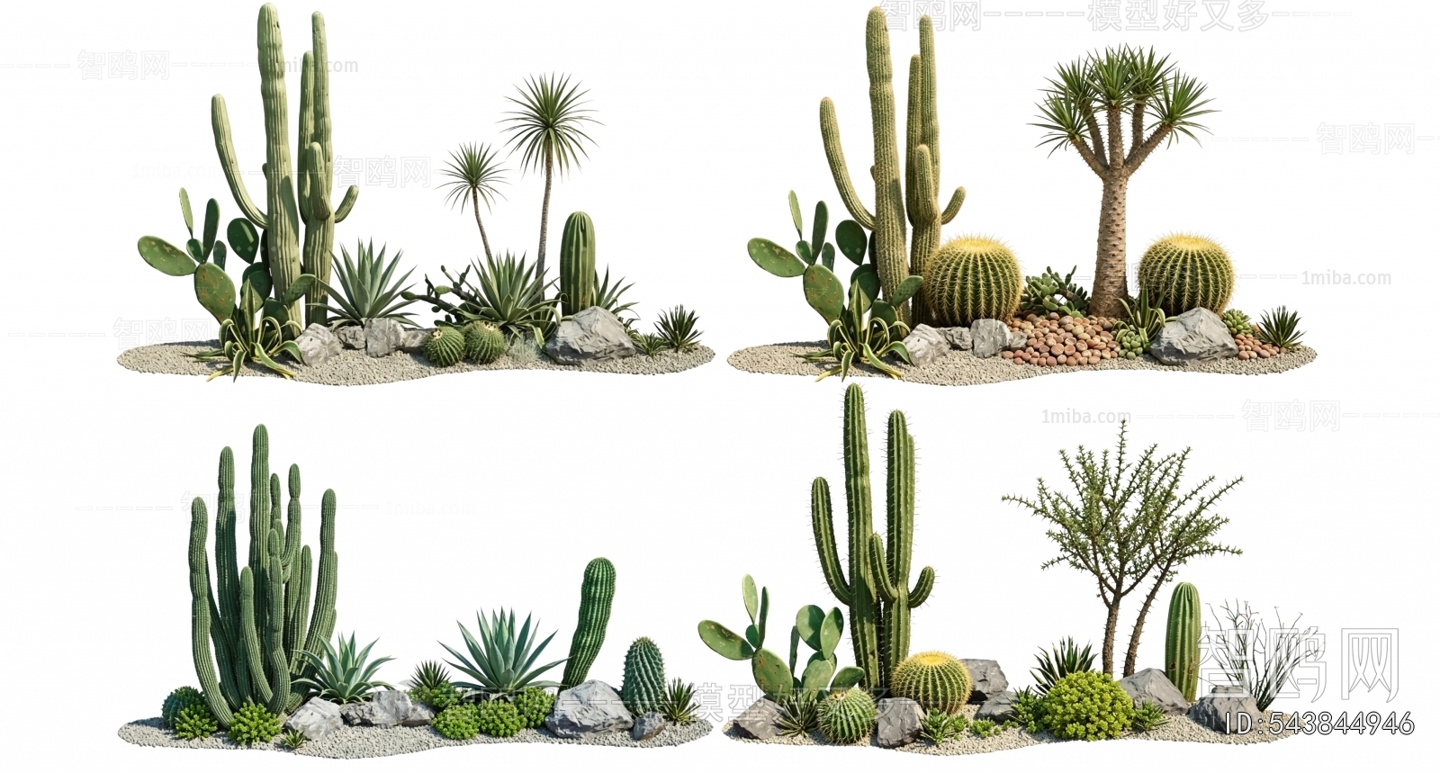 Modern Plant Landscaping
