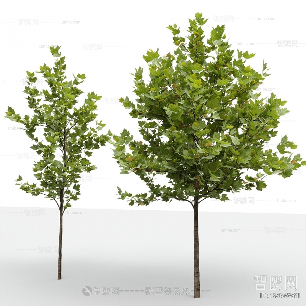 Modern Tree