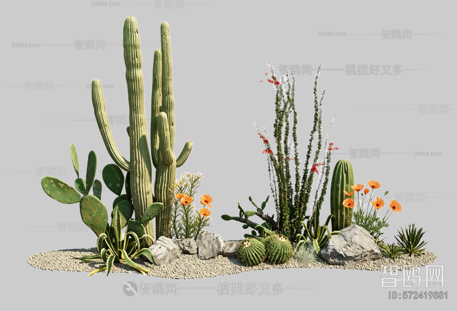 Plant Leaves