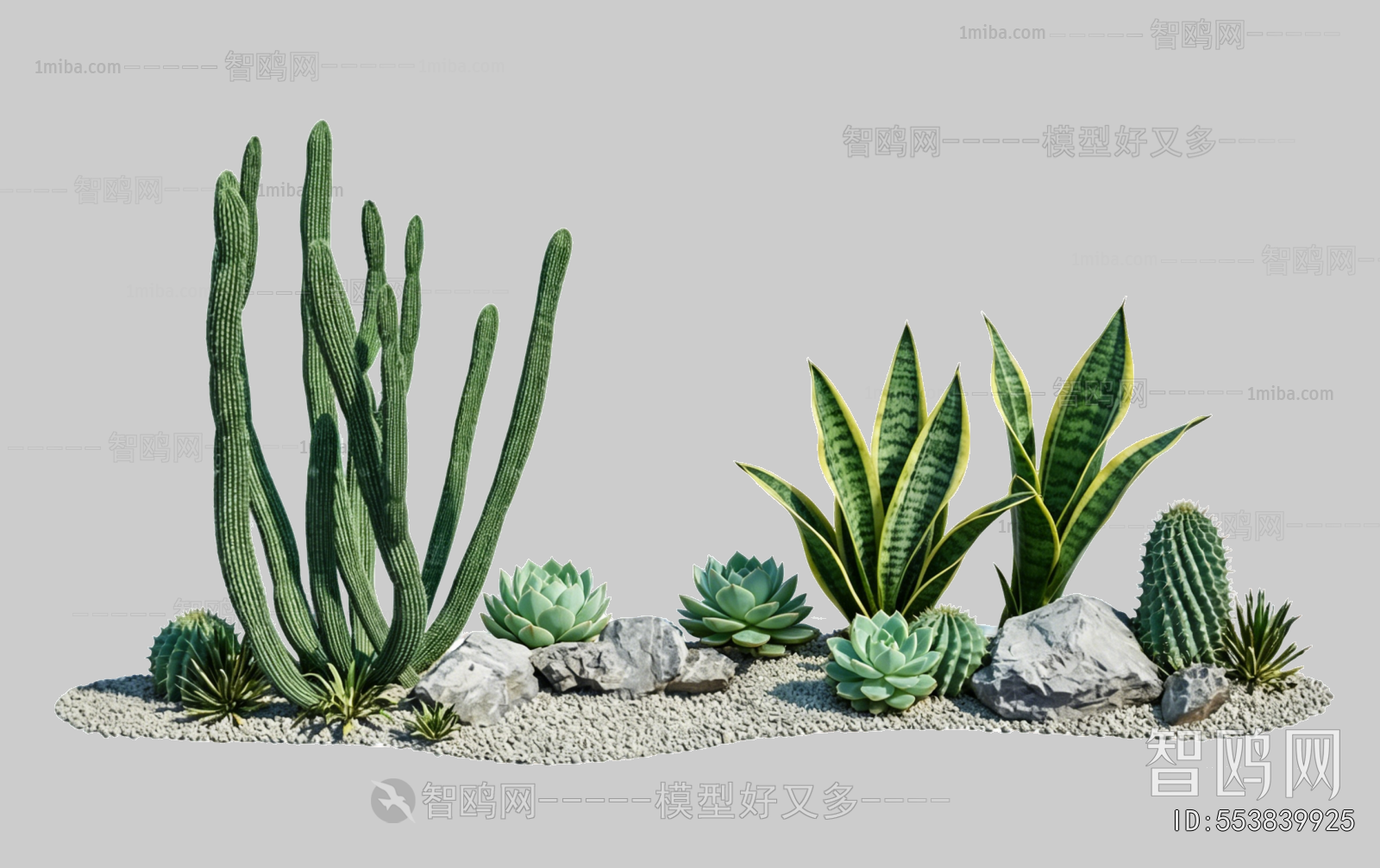 Plant Leaves