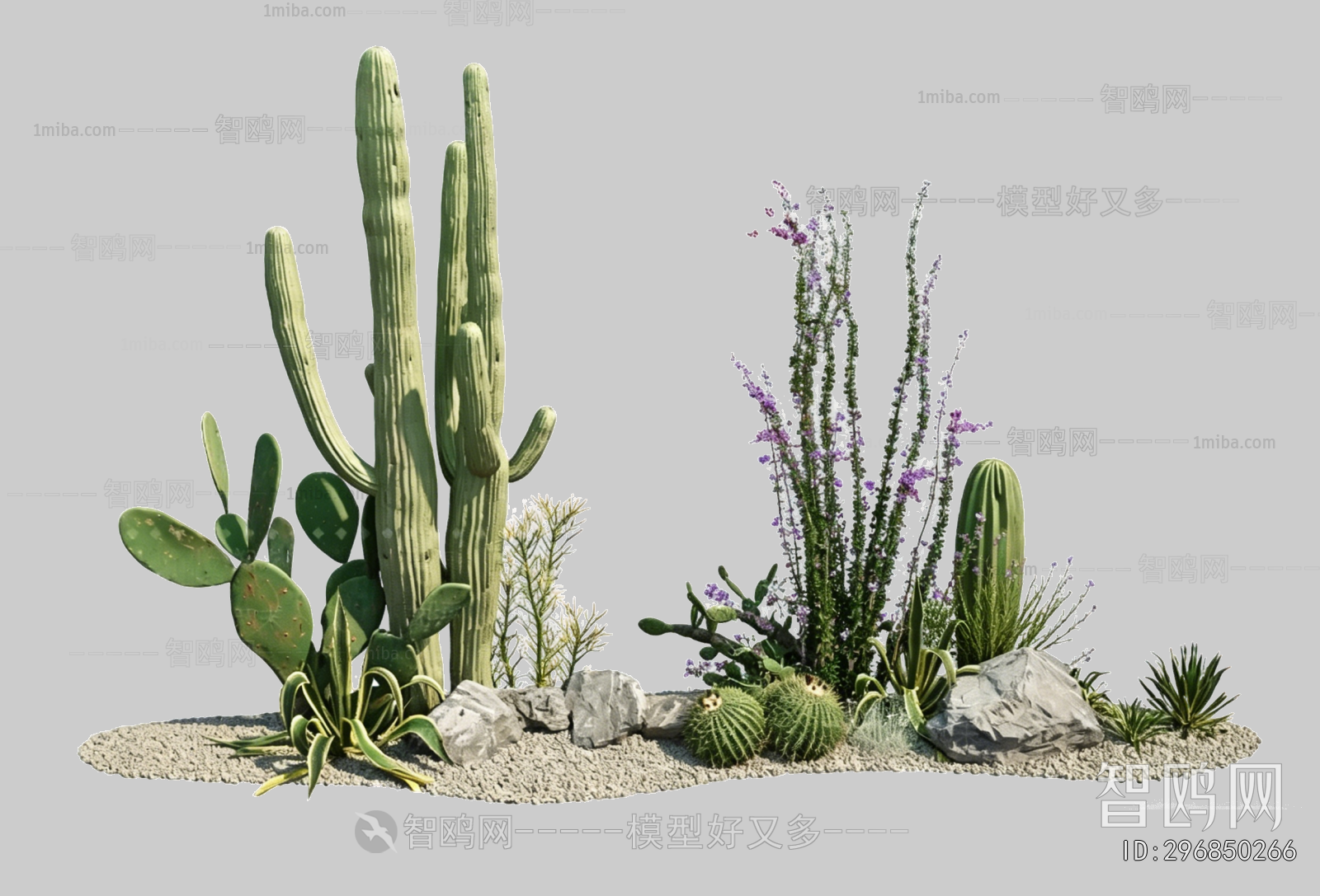 Plant Leaves