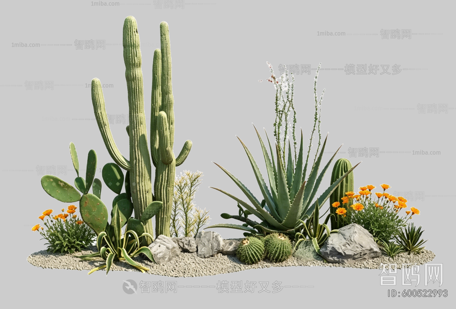 Plant Leaves