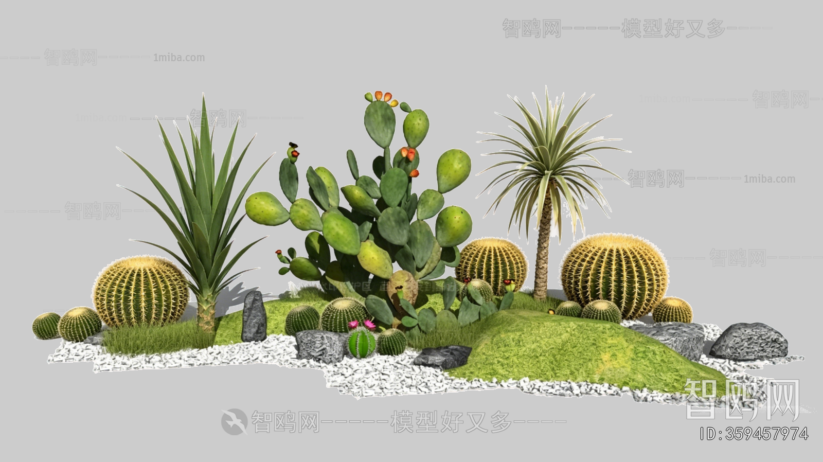 Plant Leaves