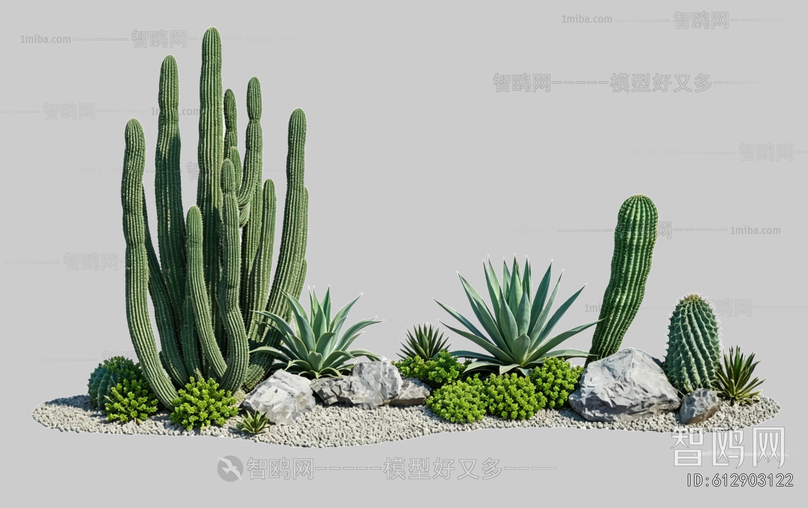 Plant Leaves