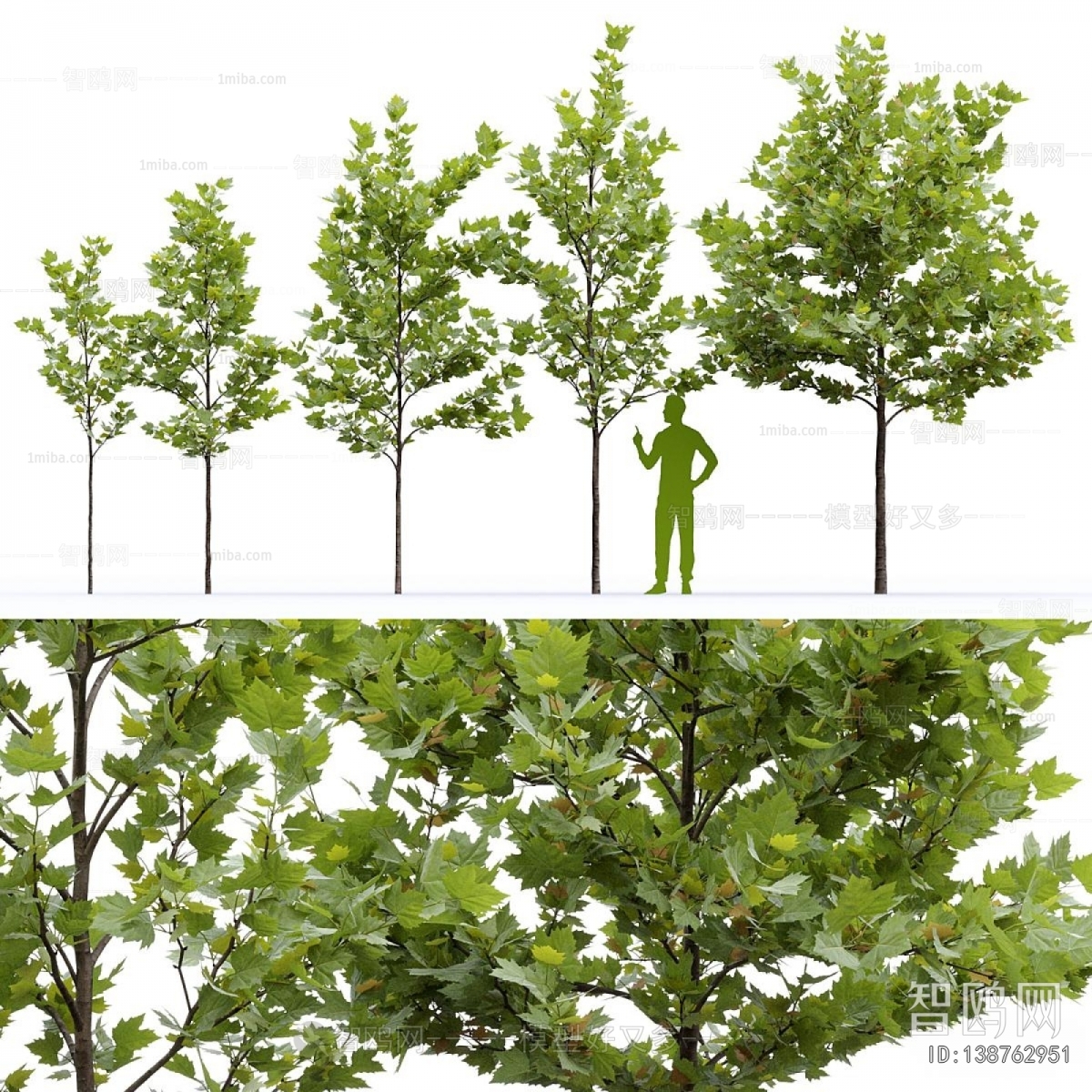 Modern Tree