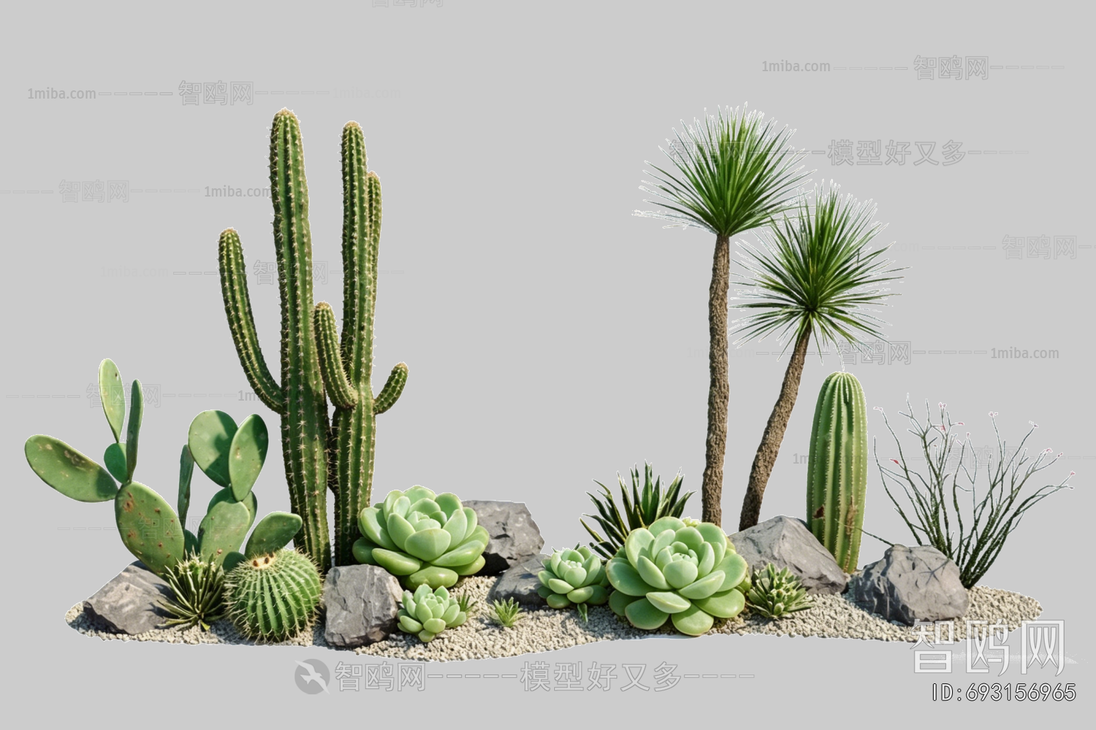 Plant Leaves