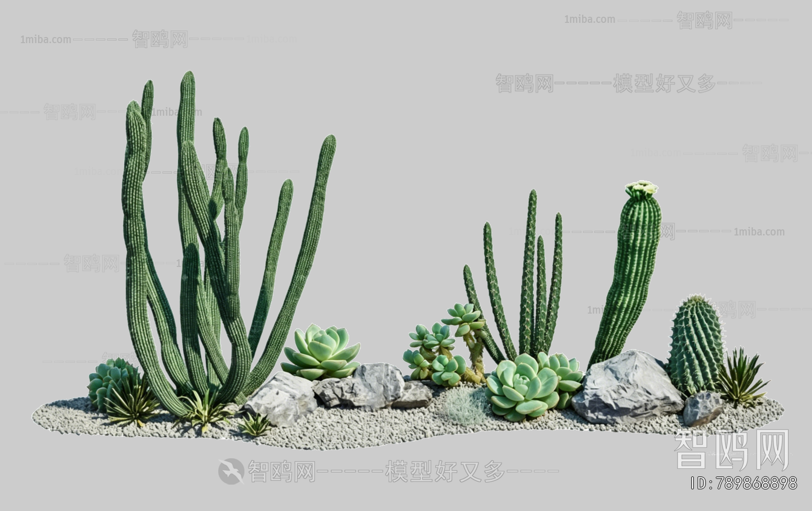 Plant Leaves