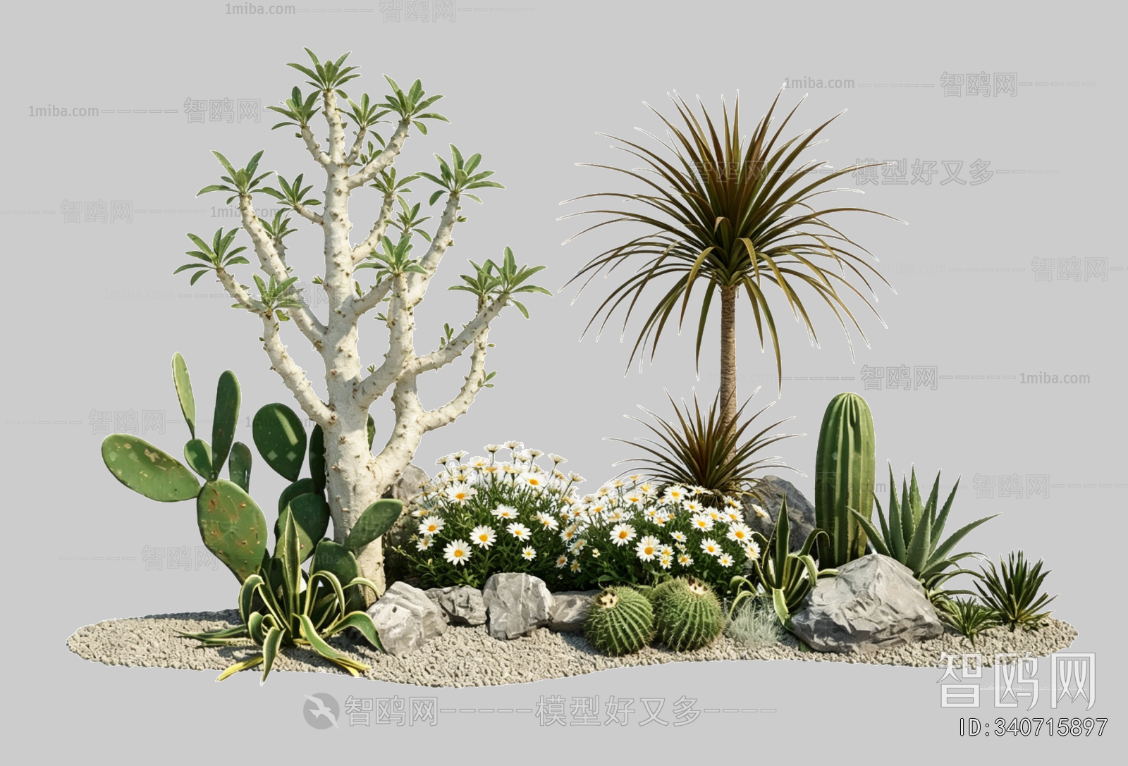 Plant Leaves