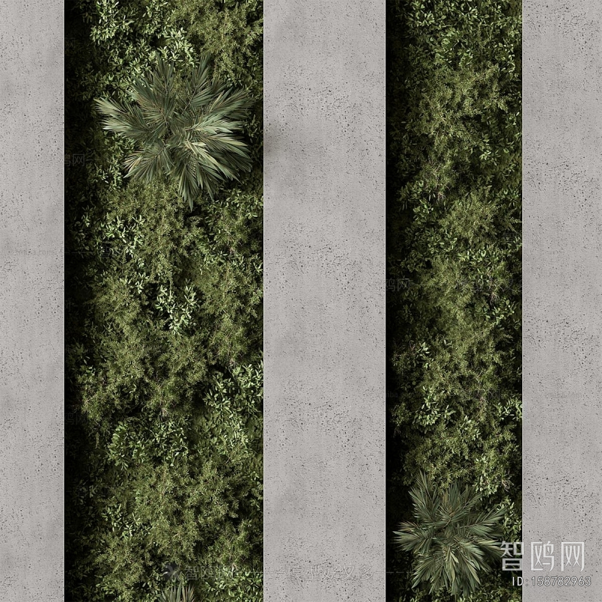Modern Plant Wall