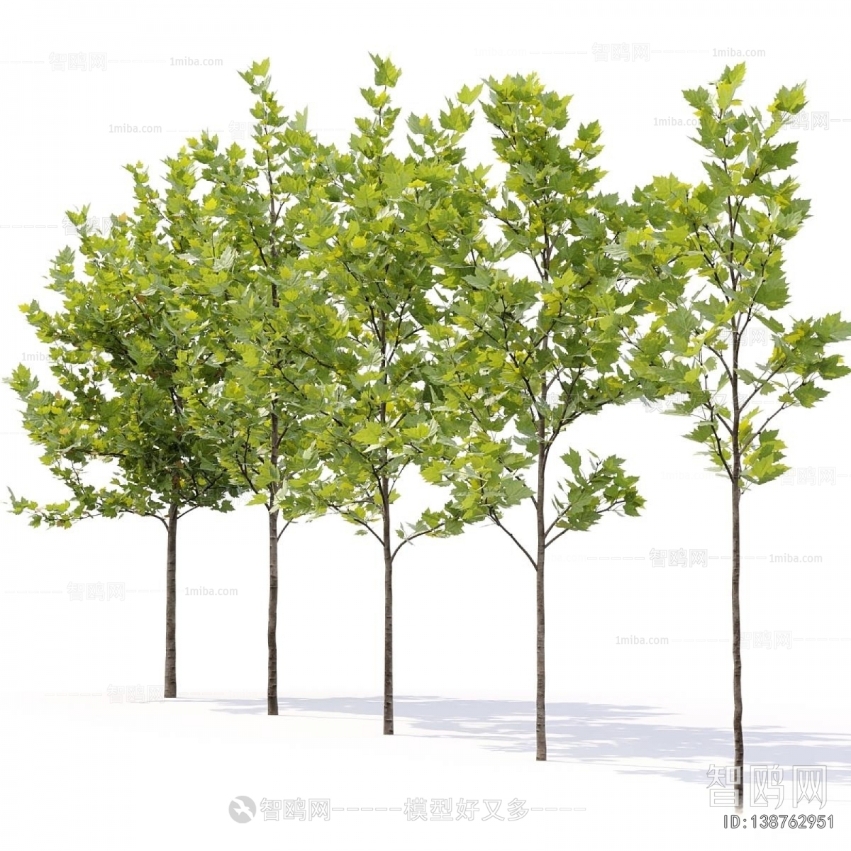 Modern Tree