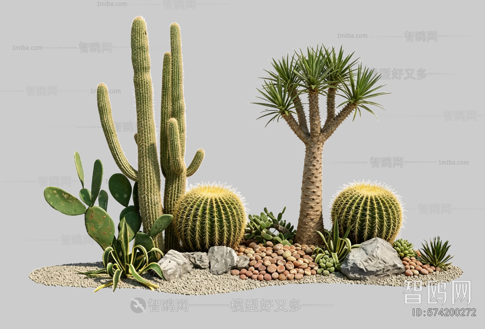 Plant Leaves