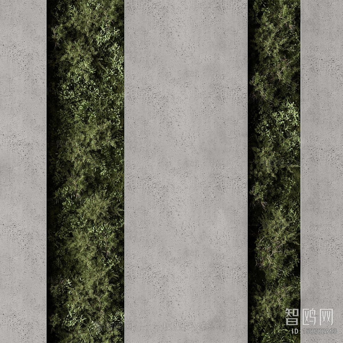 Modern Plant Wall