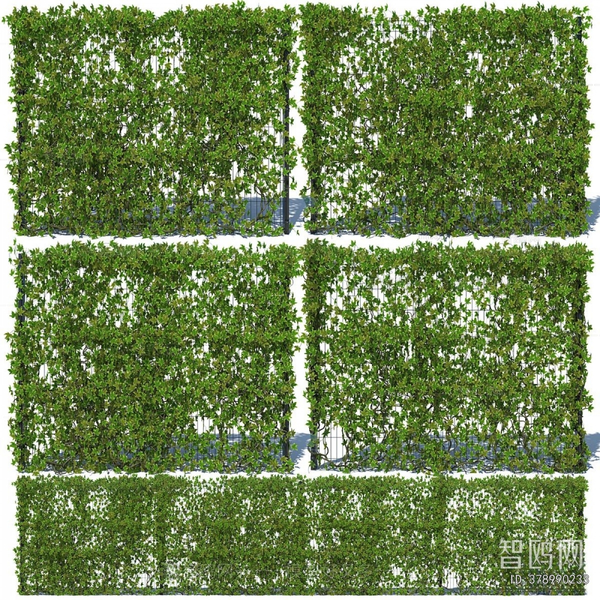 Modern Plant Wall