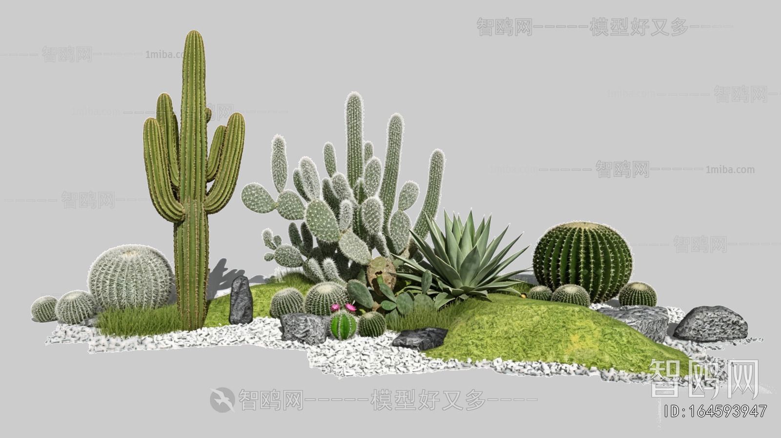 Plant Leaves