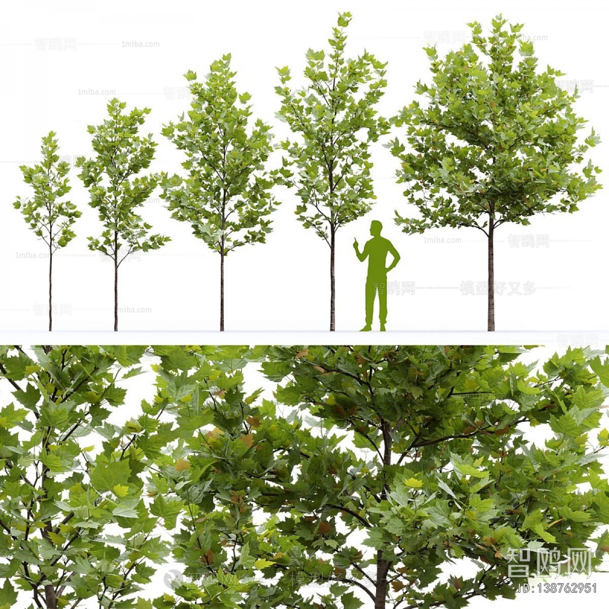 Modern Tree