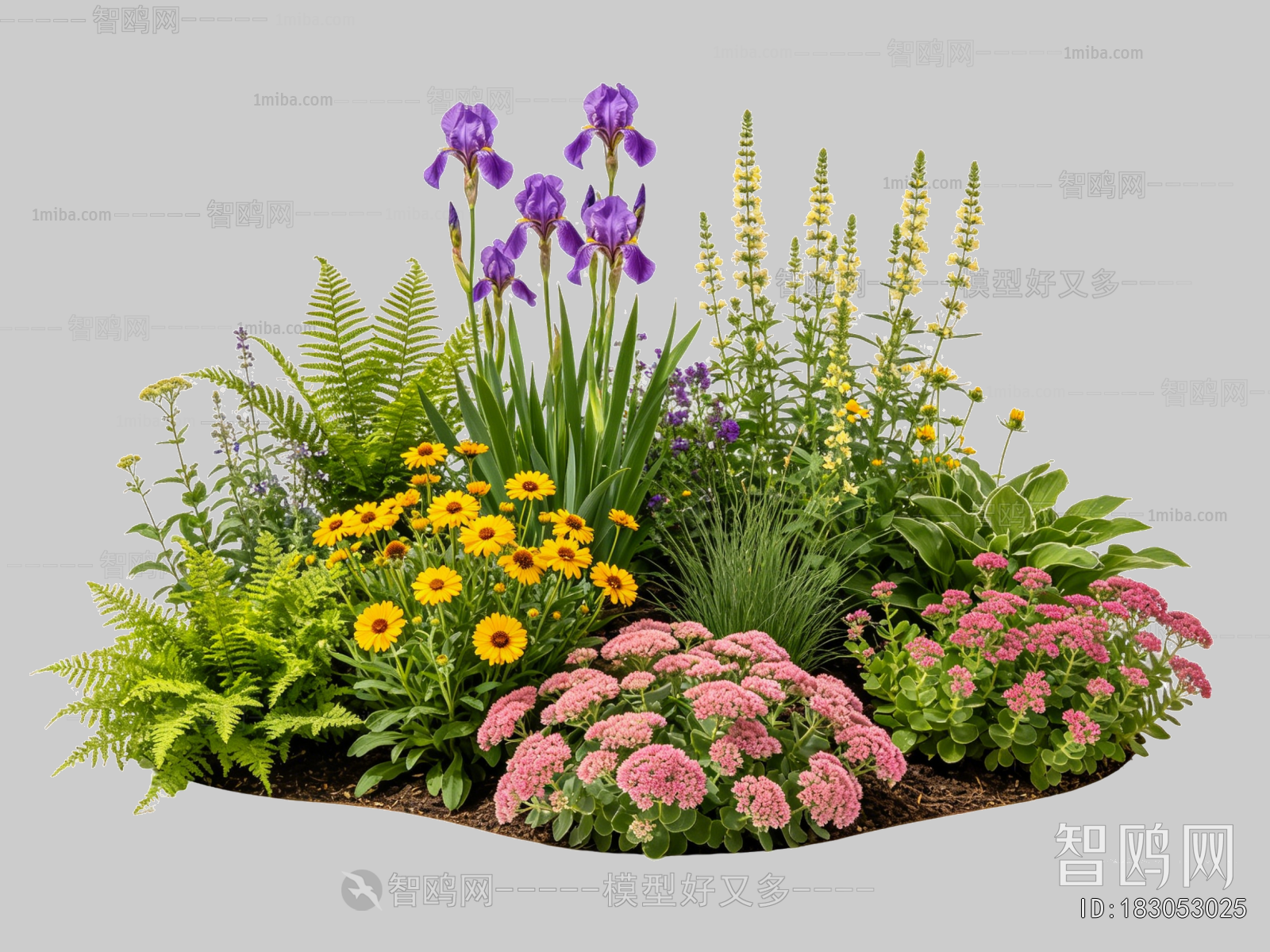Plant Leaves