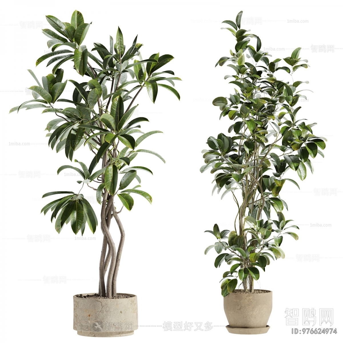 Modern Ground Green Plant Potted Plants