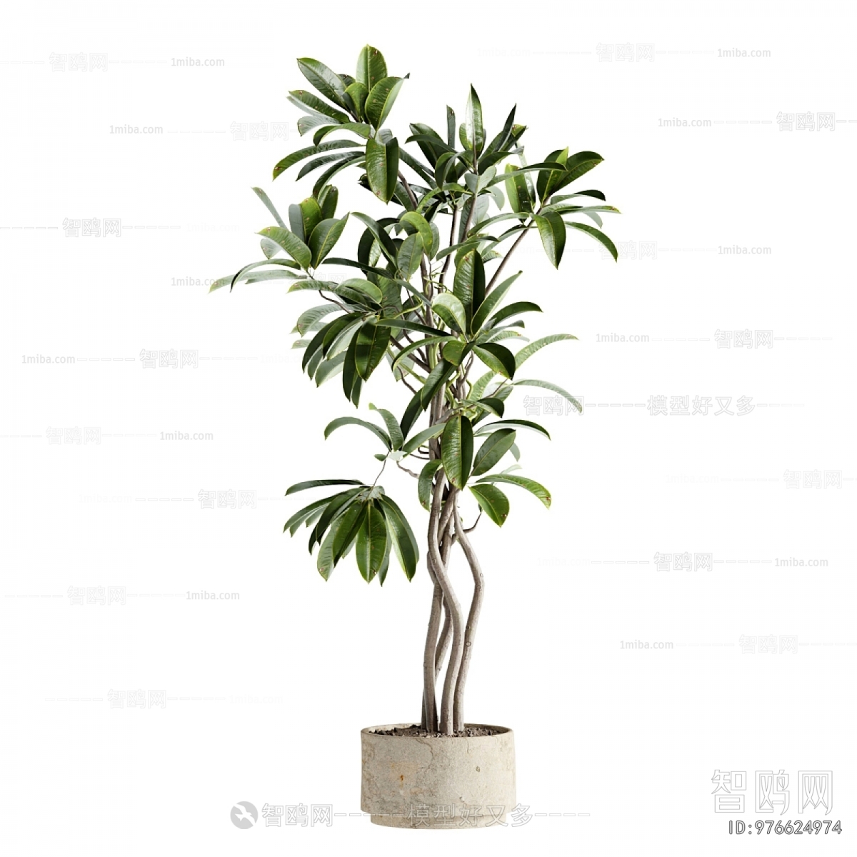 Modern Ground Green Plant Potted Plants