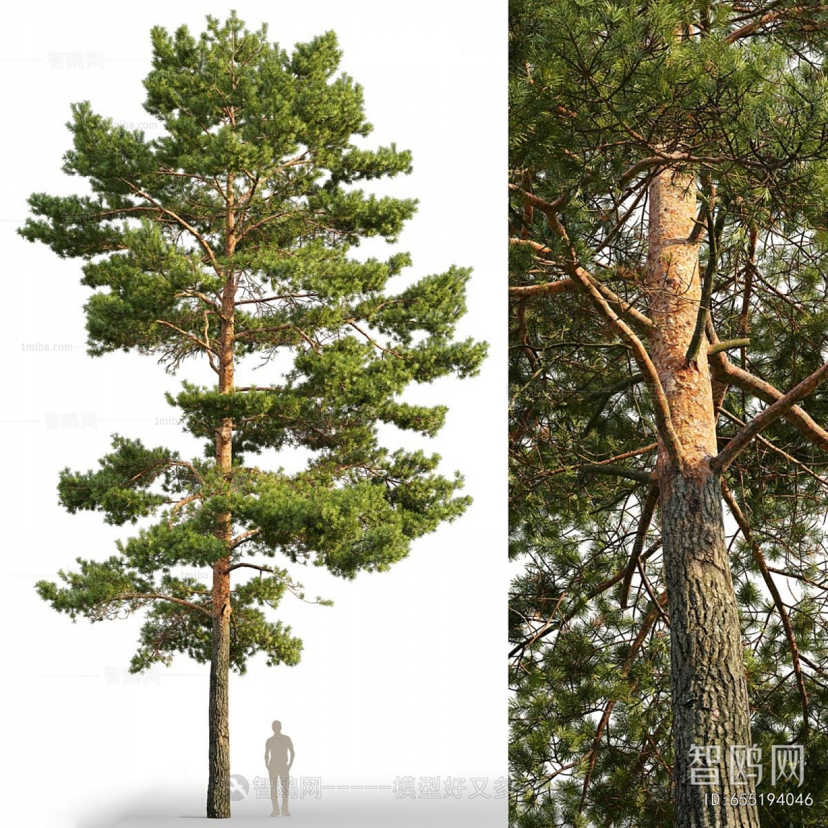 Modern Tree