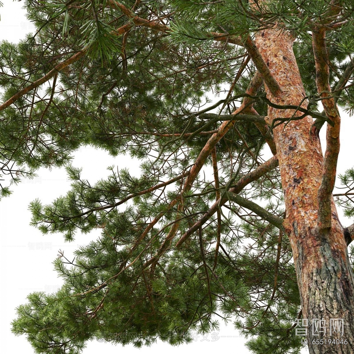 Modern Tree