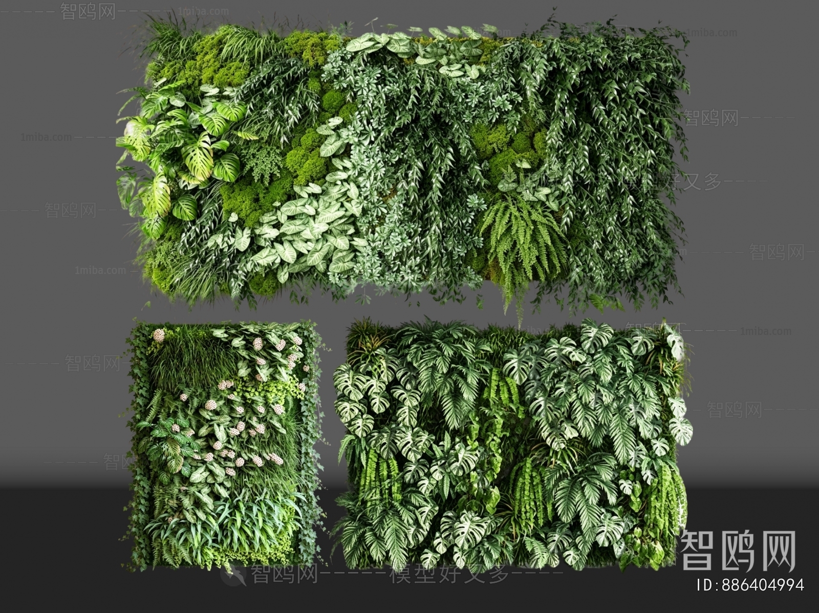 Modern Plant Wall
