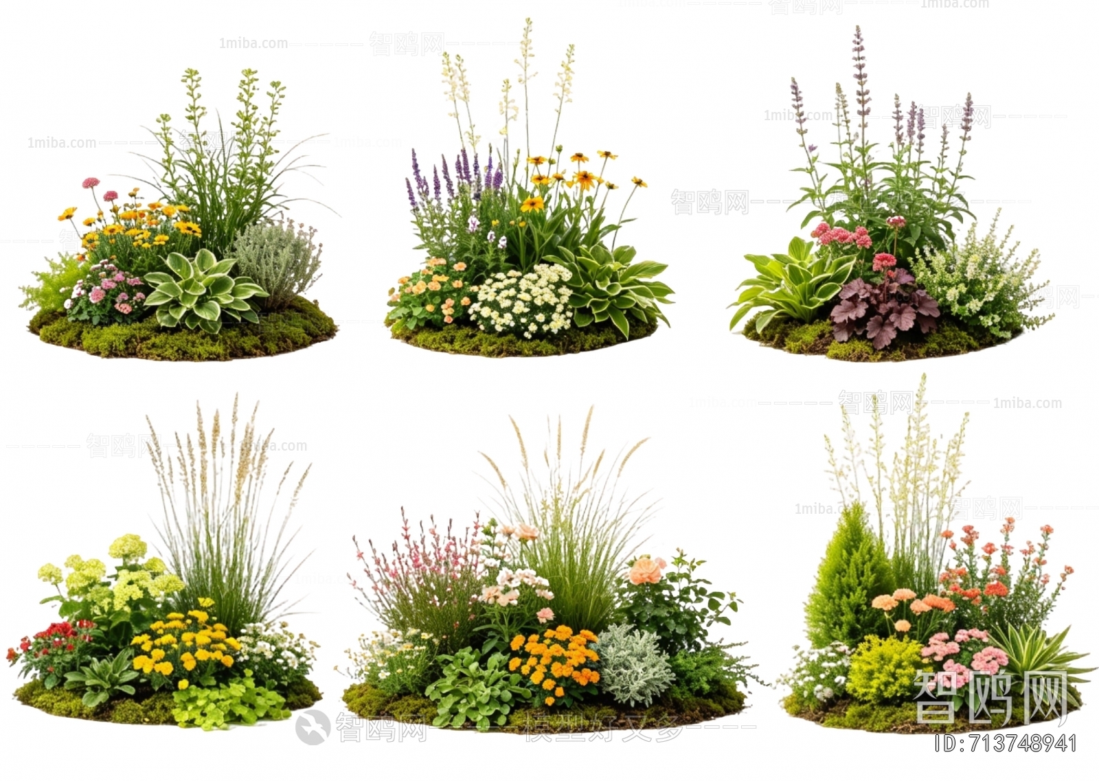 Modern Flowers And Grass