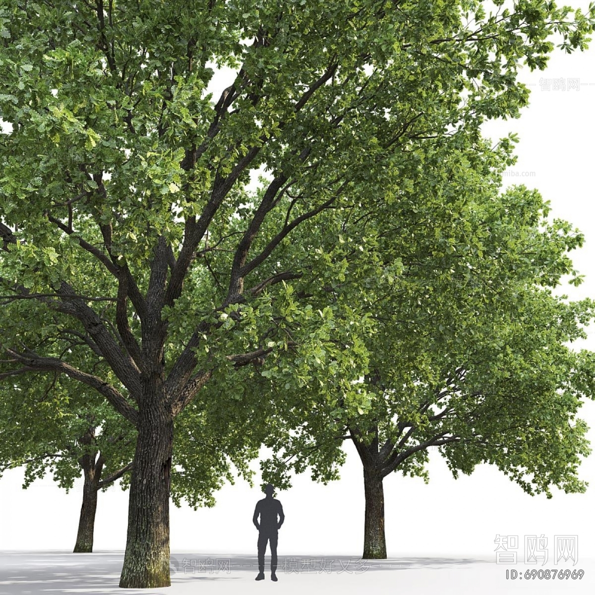 Modern Tree